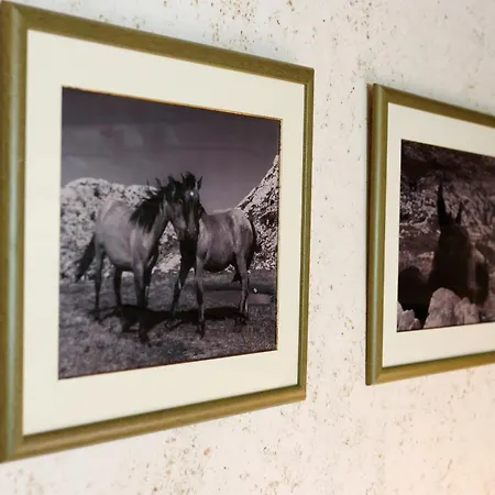 Planinarski Dom Vosac *