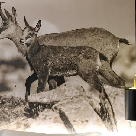 Planinarski Dom Vosac Отель *