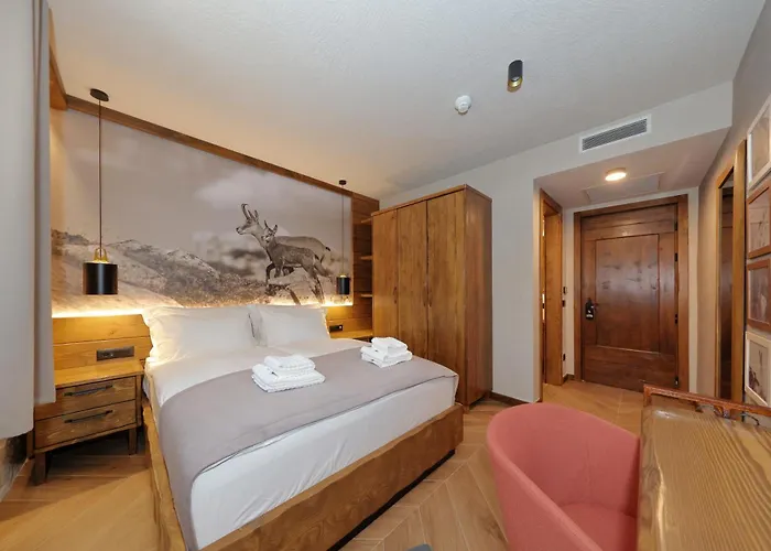 Planinarski Dom Vosac Hotel