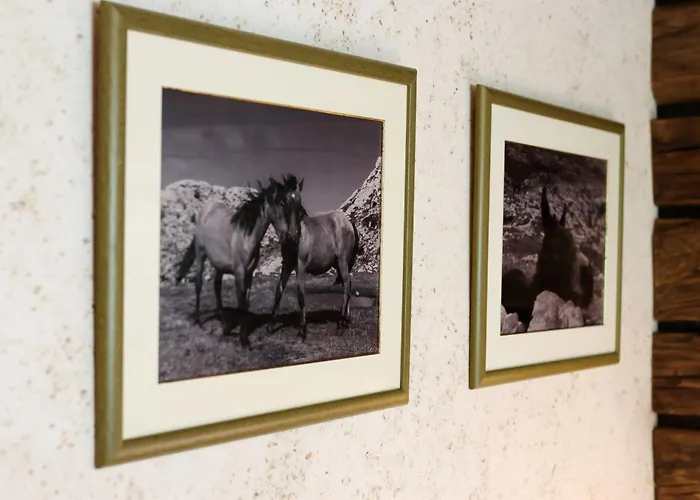 Planinarski Dom Vosac *