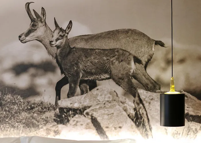 Planinarski Dom Vosac מלון *